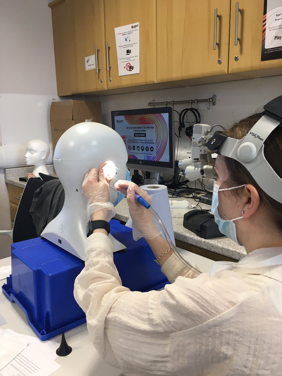 Octoscopy Otoscopy – AHead Simulations